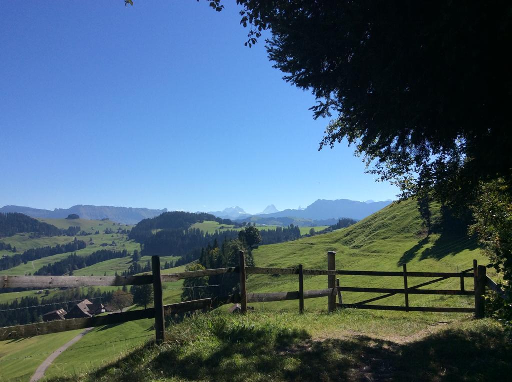 Emme Lodge Langnau Bagian luar foto
