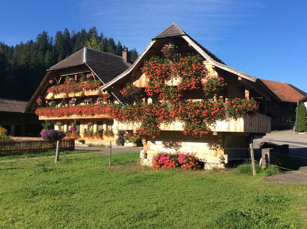 Emme Lodge Langnau Bagian luar foto